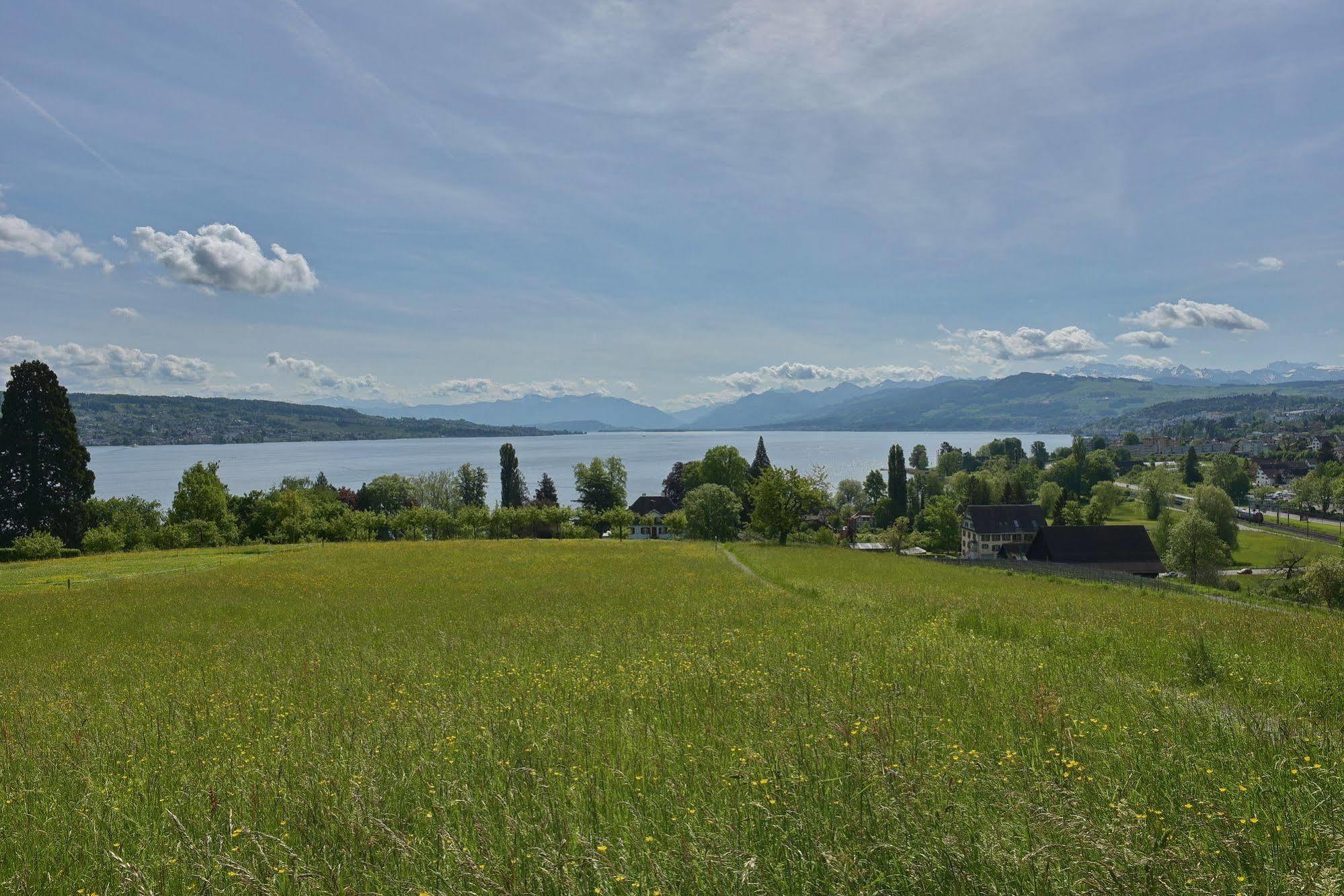 Landgasthof Halbinsel Au Веденсвіль Екстер'єр фото